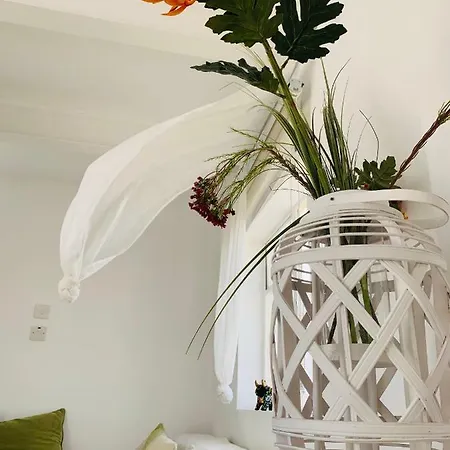 Casa Leon Séjour chez l'habitant
